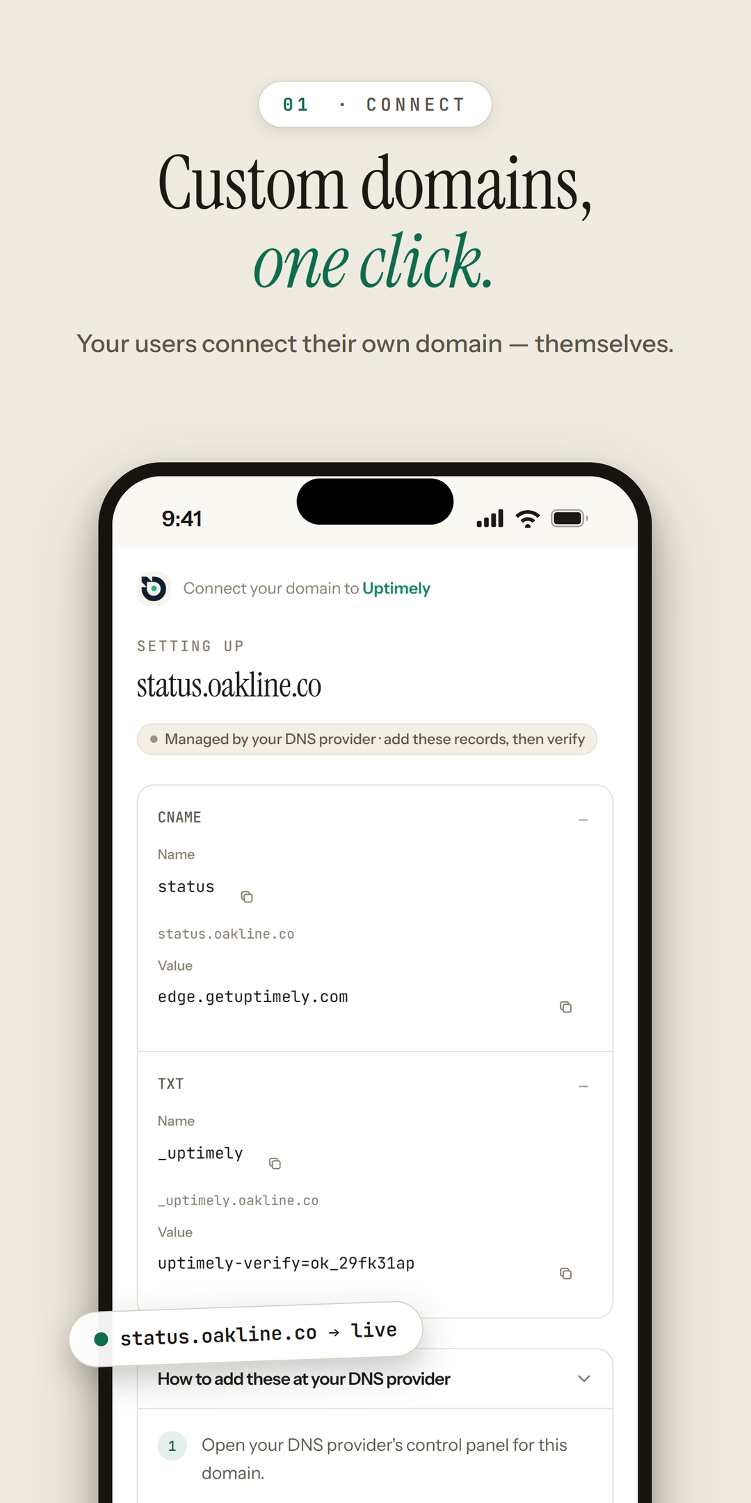 The hosted connect flow on a phone: a customer connecting a custom domain.